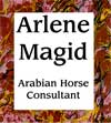 Arlene Magid Logo