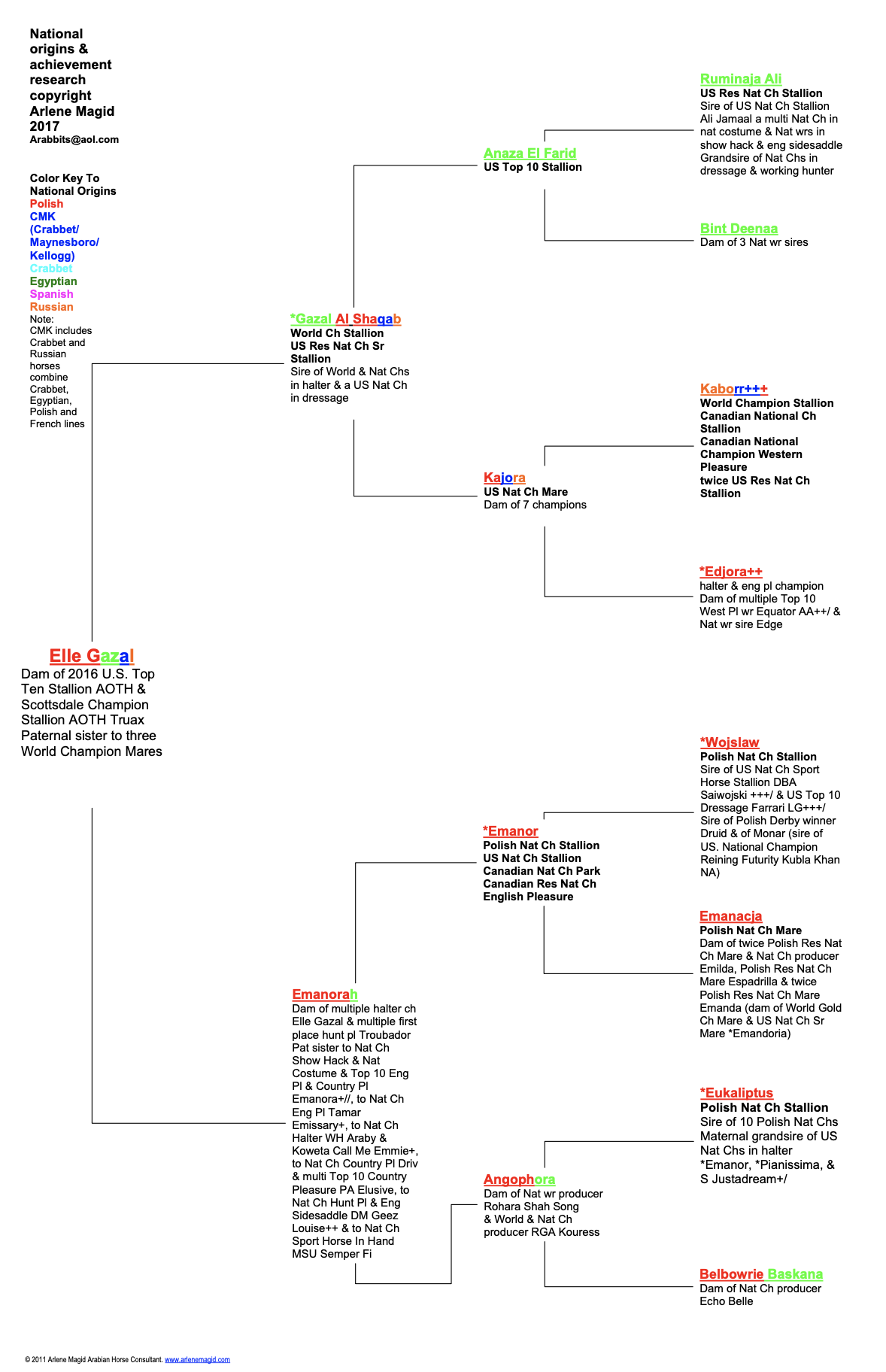 Elle Gazal Pedigree Sample