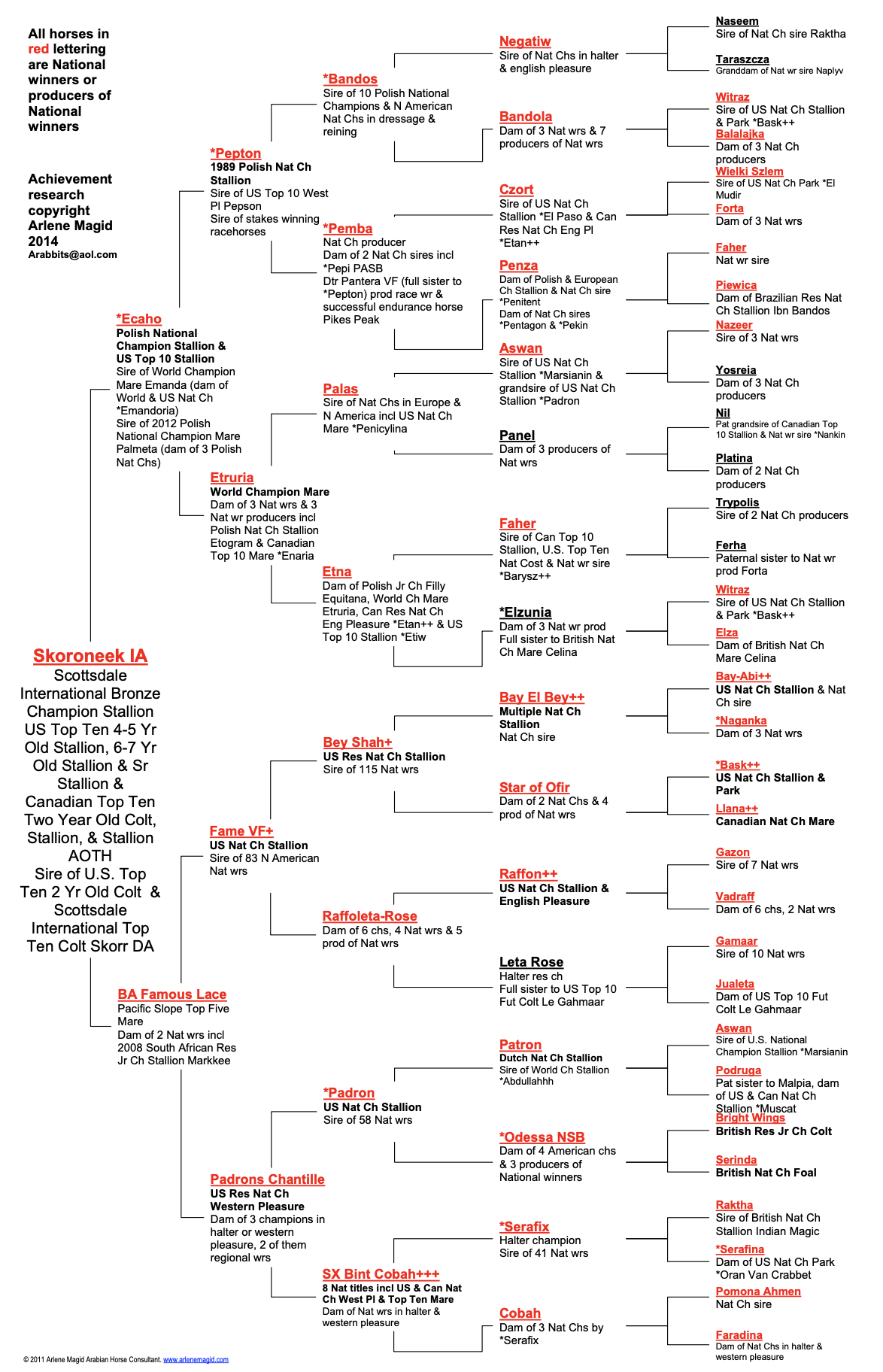 Skoroneek IA Pedigree Sample