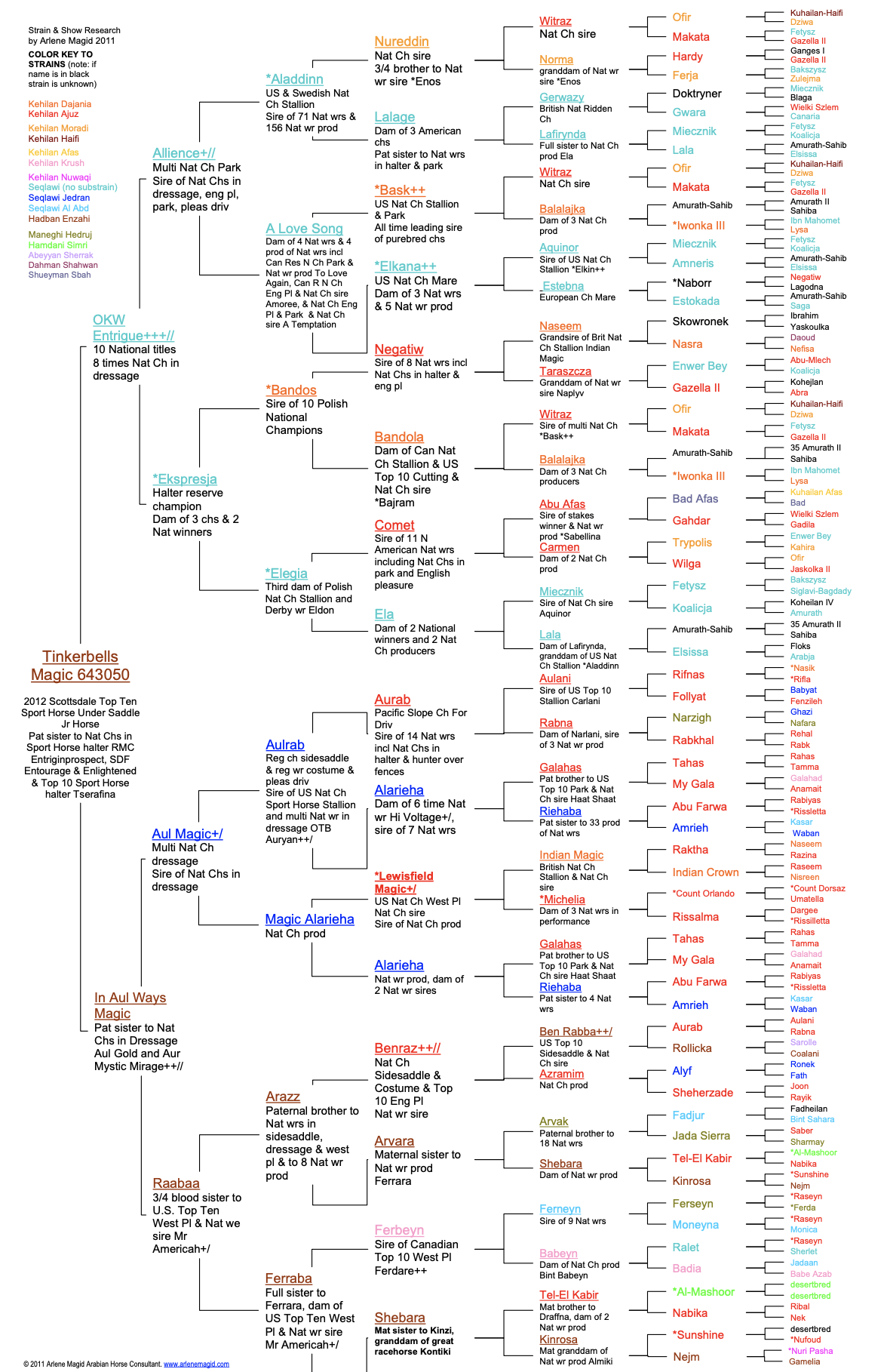Tinkerbells Magic Pedigree Sample